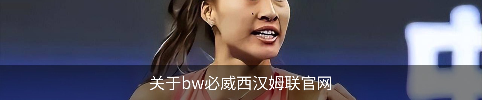 关于bw必威西汉姆联官网