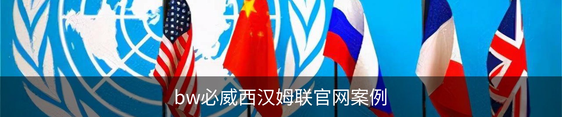 bw必威西汉姆联官网案例